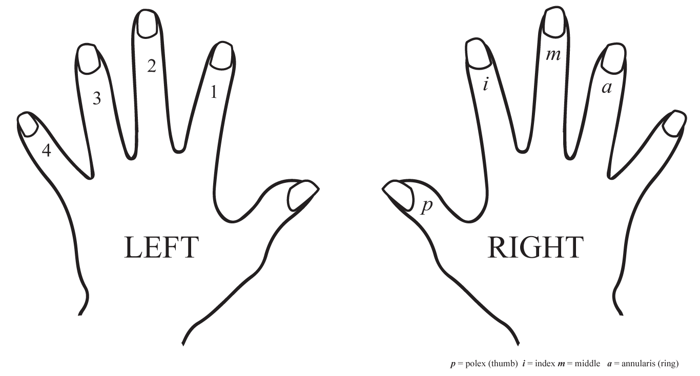Classical Guitar Right-Left-Hand Names