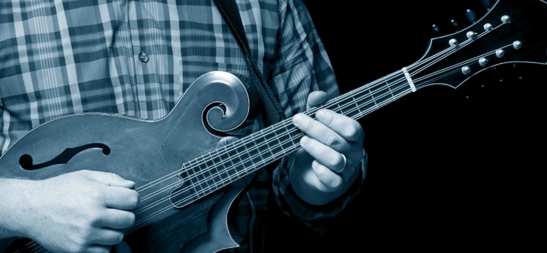 Introduction to Blues Mandolin Player