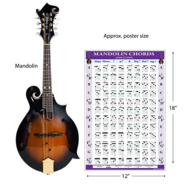 Mandolin-Chord-Fretboard-Poster-(2)