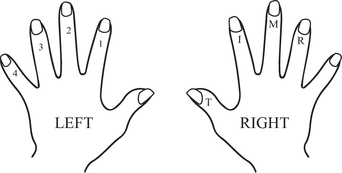 Ukulele Finger Names - thumb index middle ring