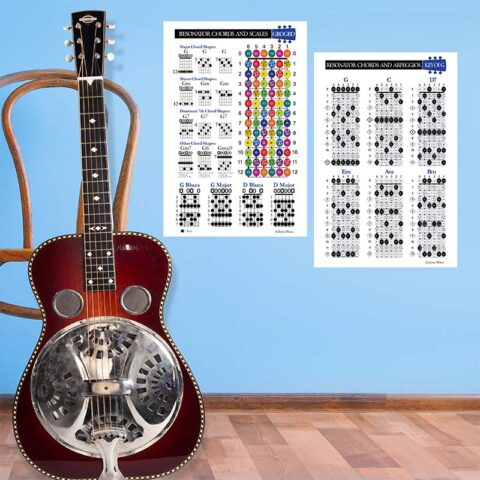 Resonator Guitar Dobro Chords, Scales and Fretboard Poster Set