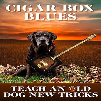 Teach and old dog - guitar blues